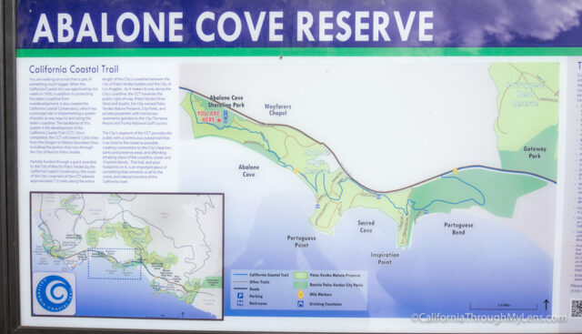 abalone-cove-1