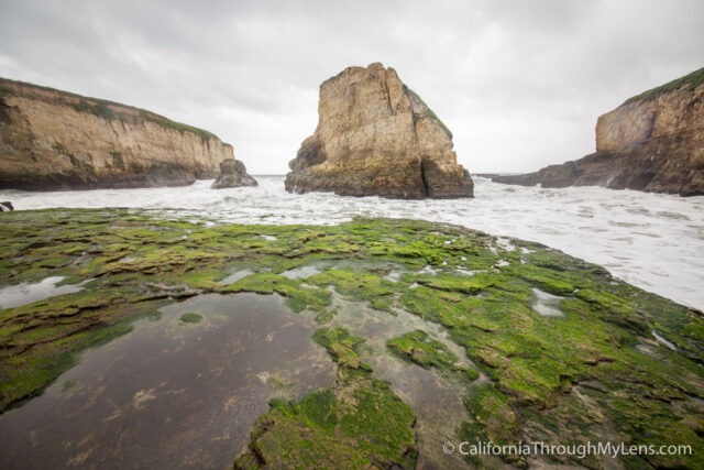 Shark Fin Cove-2