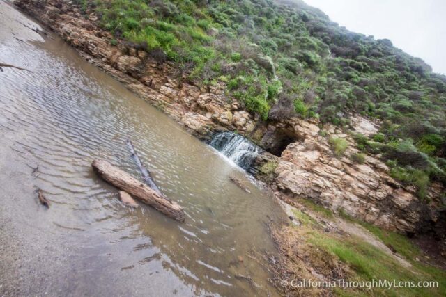 Shark Fin Cove-7