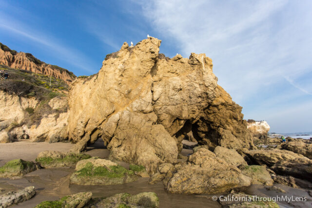 El matador State Beach-12