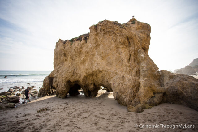 El matador State Beach-15